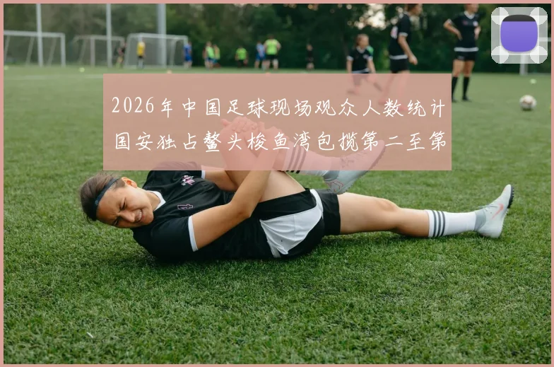2026年中国足球现场观众人数统计国安独占鳌头梭鱼湾包揽第二至第七位