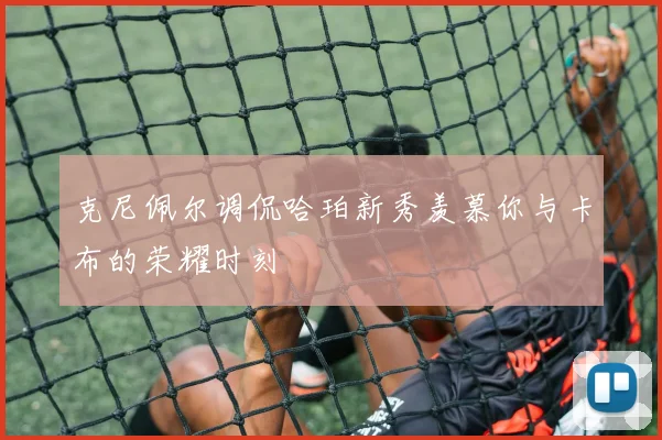 克尼佩尔调侃哈珀新秀羡慕你与卡布的荣耀时刻